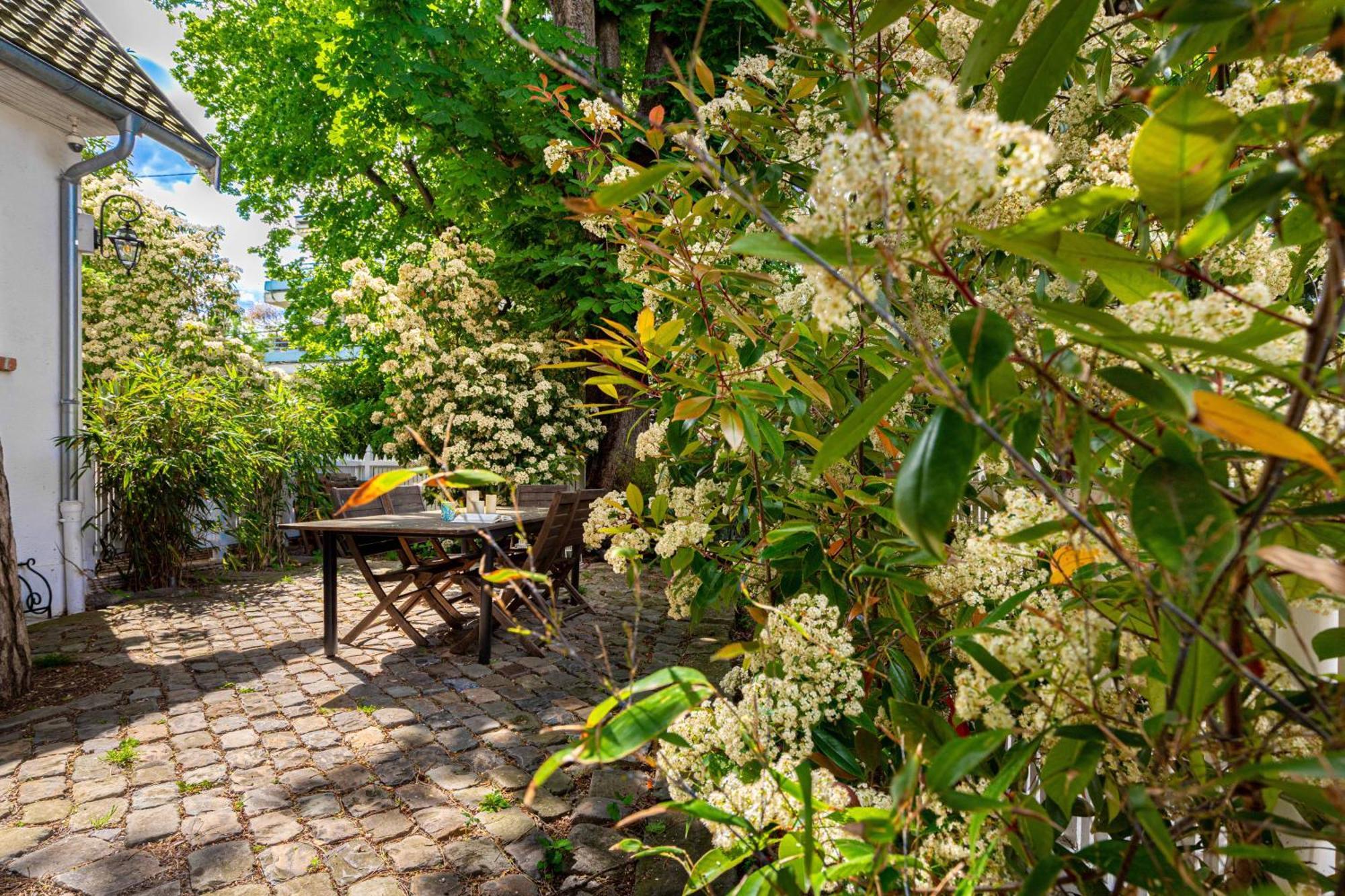 Grand & Classy Apartment With Private Garden, Villa Des Ammonites 默东 外观 照片